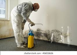 Best Water Damage & Mold Remediation  in New California, OH